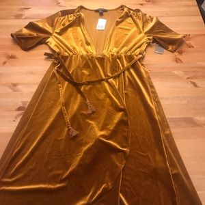 NWT velvet party dress